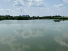 -大兴滨河森林公园