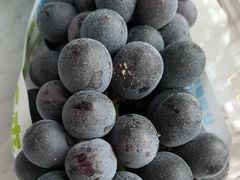 -马陆小张葡萄园农家乐