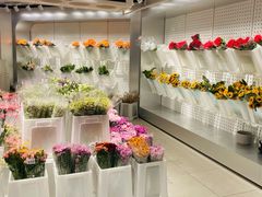 -盒马X会员店(王府井奥莱UP TOWN店)