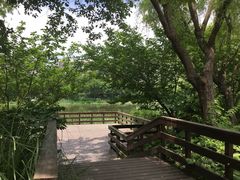 -新江湾城公园