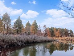 -宁波杭州湾国家湿地公园