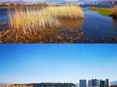 -洱海月湿地公园