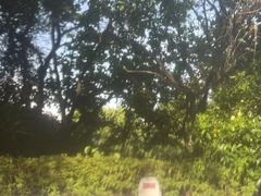 -和顺柏联温泉