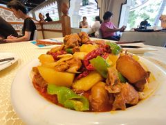 新疆大盘鸡-巴扎美食·新疆菜·西域歌舞表演餐厅(新疆大厦店)