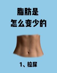 -Fundi张玉珊修身堂·indiba·BTL科技瘦身