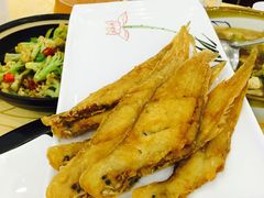 -海岛渔村大酒店(云霄路店)