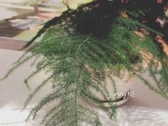 -肯德基(大学路DT店)