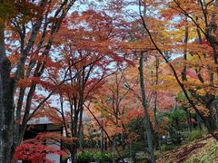 -常寂光寺