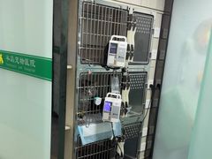 -半岛宠物医院24小时(科华中路店)