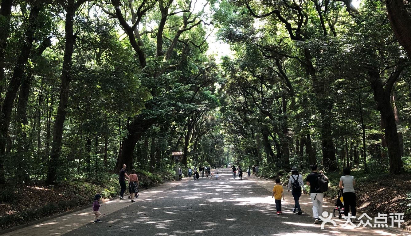 那个水池的水貌似可以直接饮用