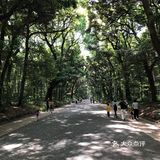 那个水池的水貌似可以直接饮用