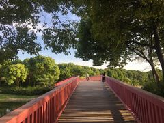 -美兰湖景区
