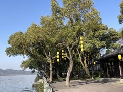 -杭州西湖柳莺里酒店·闻莺厅