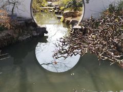 -上海醉白池公园