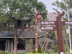 -大亚湾红树林城市湿地公园