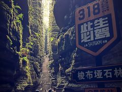 -梭布垭石林景区