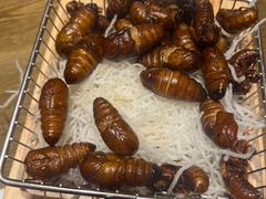 -鸽子窝(青塔店)
