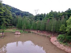 -广州市帽峰山景区