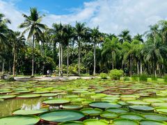 -中国科学院西双版纳热带植物园
