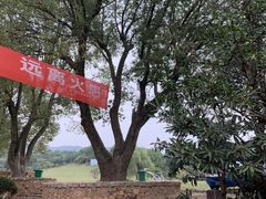 -雨花胜境