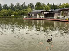 -春晖园度假酒店温泉