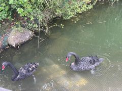 -千岛湖东南湖区