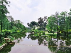 -云溪植物园