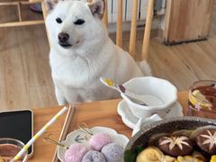 -柴の食堂·日式家庭料理·熊之肆(大学路店)
