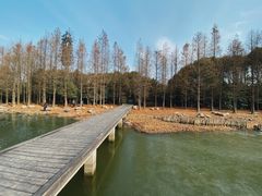 -长广溪湿地公园