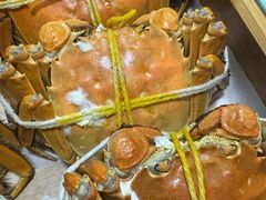 -黄记大闸蟹专卖店·活蟹·醉蟹
