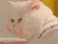 -7cake榴莲千层蛋糕(松江店)