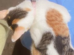 -中国兰州拉面(西湖文化广场店)