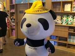 -熊猫屋(宽窄巷子景区店)