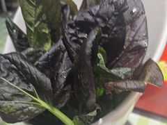 盆栽蔬菜-番食园鲜食火锅(高新店)