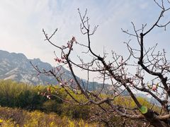 -北京凤凰岭