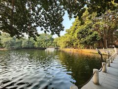 -荔湾湖公园