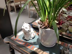 -鑫花溪牛肉米粉(凤凰街创始总店)