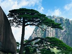 -黄山风景区