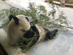 -杭州野生动物世界