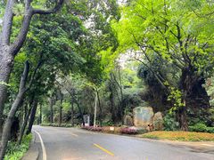 -西樵山风景名胜区-天湖公园