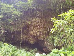 -海口火山口国家地质公园