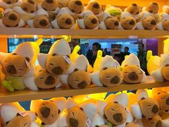 -国家会议中心大酒店