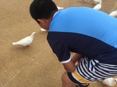 -烟台海昌鲸鲨海洋公园