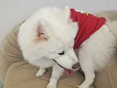 -怪兽屋·羊驼·猫咖·狗咖(俊华广场店)