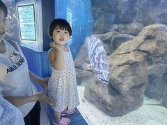-石家庄海洋公园