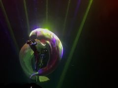 -芜湖新华联大白鲸海洋公园