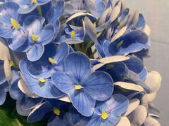 -宴周康·精致江浙菜(周浦店)