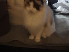 -零纪元VR体验馆·桌游(黄浦店)