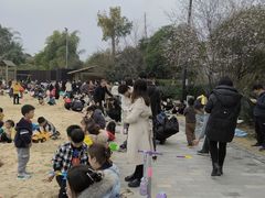 -枫香湖儿童公园