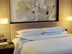 -上海嘉定喜来登酒店